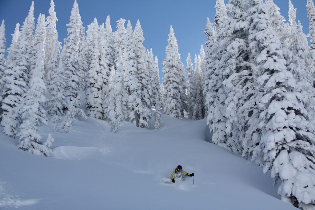 Cat Skiing Colorado North Cat Skiing Tours Steamboat Springs