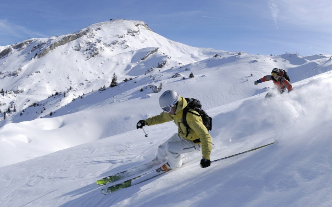British Columbia Cat Skiing – January/February – Season Review and Updated Forecast 2019/2020